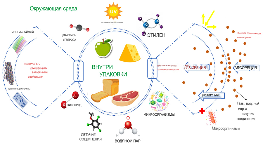 упаковка продлевает срок годности продуктов